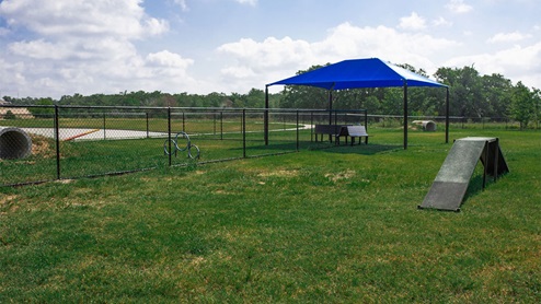 Southern Pointe Dog Park with agility obstacles