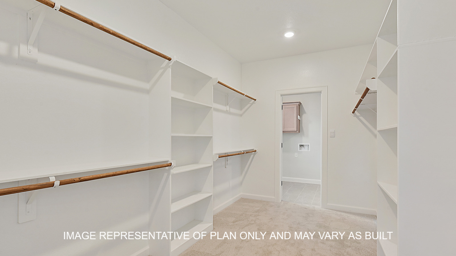 Brighton primary bedroom closet with carpet and shelving.