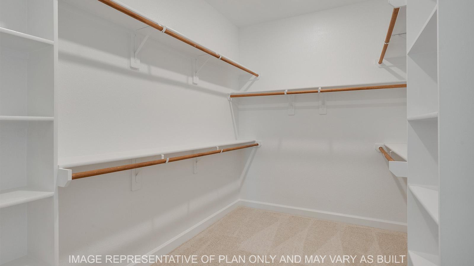 Norwood primary walk-in closet with hanging and storage space and carpeted flooring.