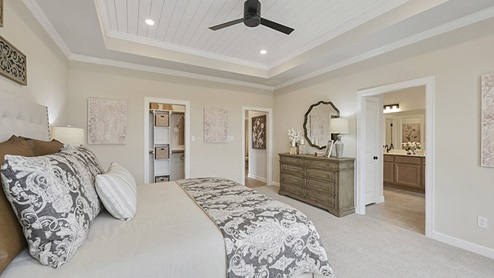 Large primary bedroom with ceiling detail.