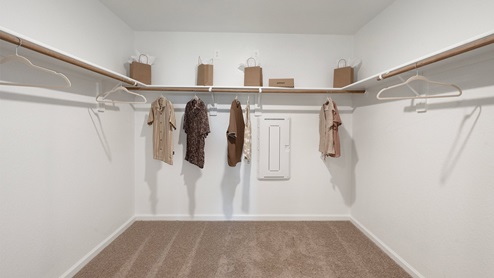 Wilkins Valley primary walk-in closet with carpeted flooring