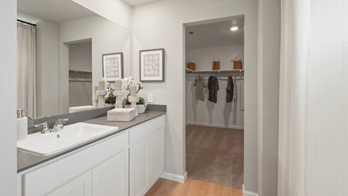 Wilkins Valley primary bathroom with quartz countertop and vinyl flooring.