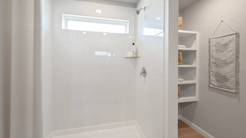 Wilkins Valley primary bathroom with walk-in shower and linen shelving