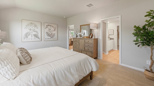 Wilkins Valley primary bedroom with farmhouse style decor
