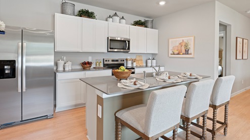 Wilkins Valley open concept kitchen with gray quartz countertops and stainless-steel appliances.