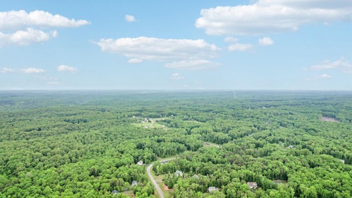 Area Shot