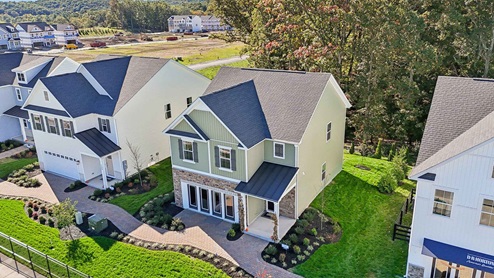 Pine model exterior