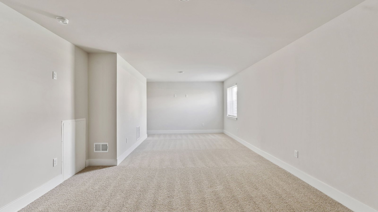 basement living area