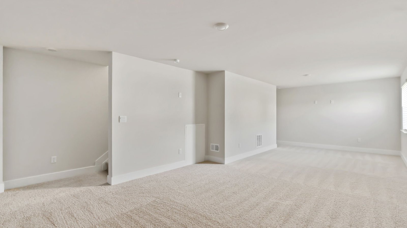 basement living area