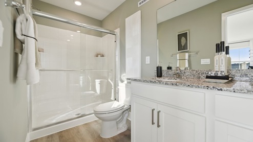 bathroom with a shower