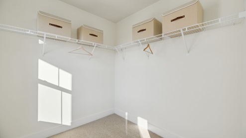 Primary closet