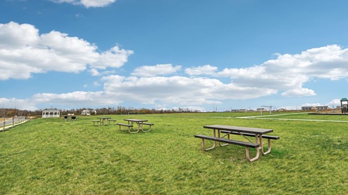 Picnic area includes 6 tables and 2 gas grills