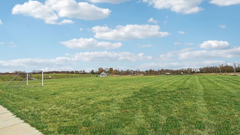 Soccer Field