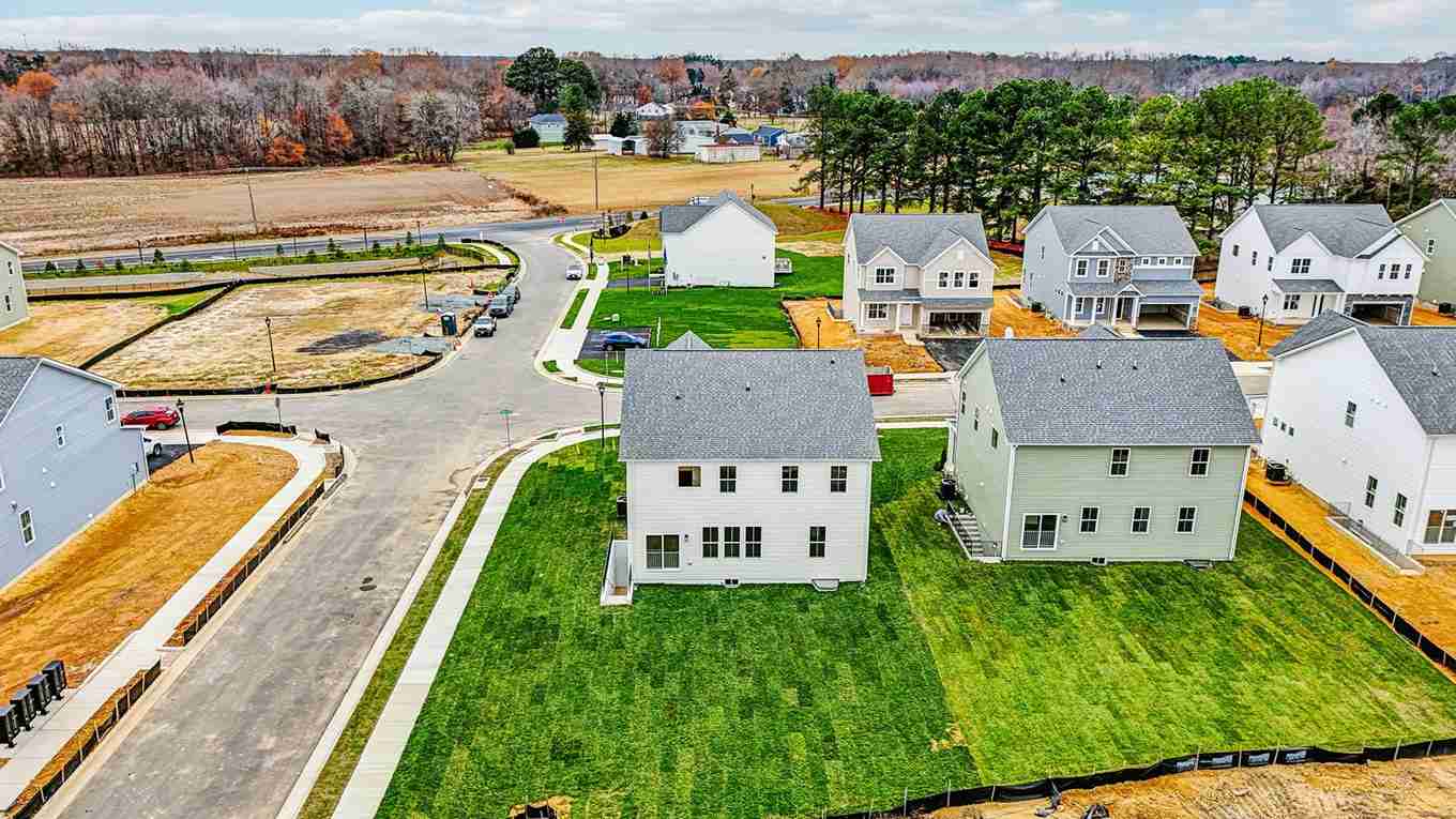 Hampshire II model birds view