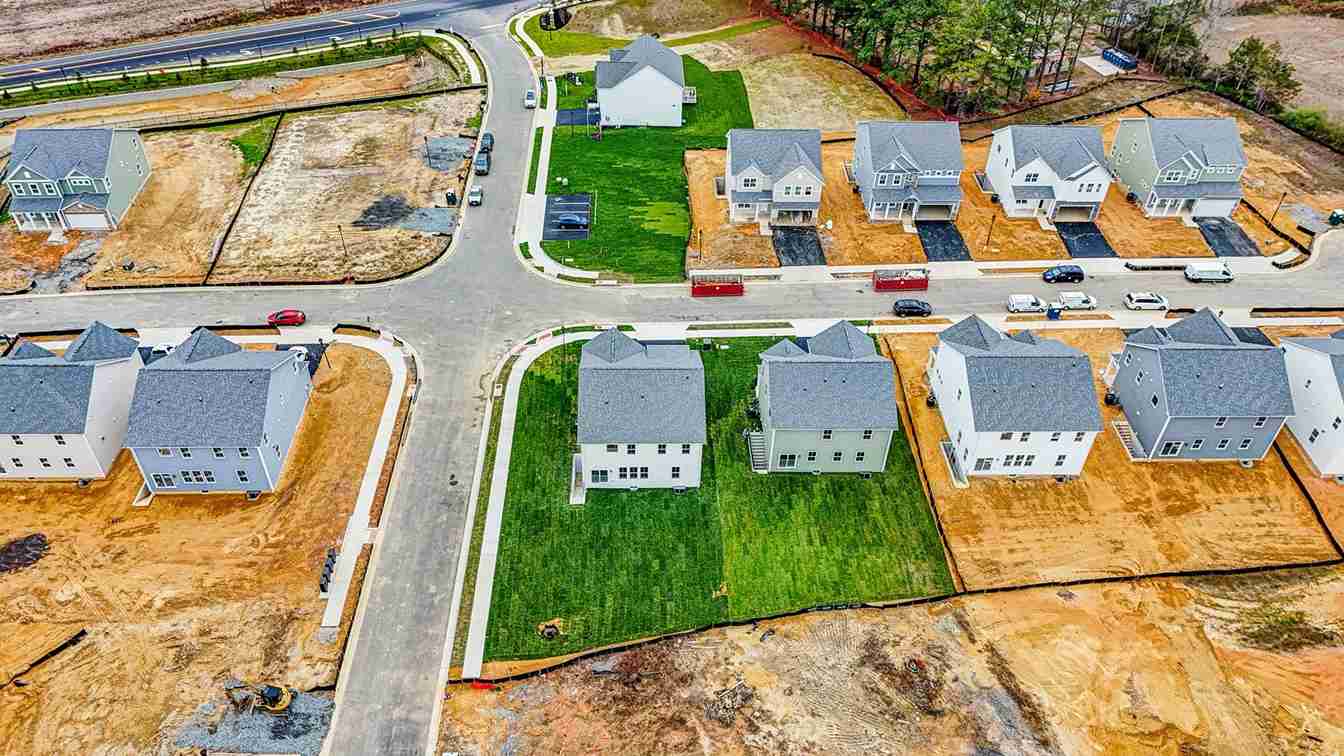 Hampshire II model birds view