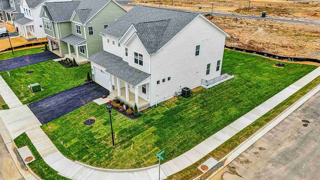 Hampshire II model birds view