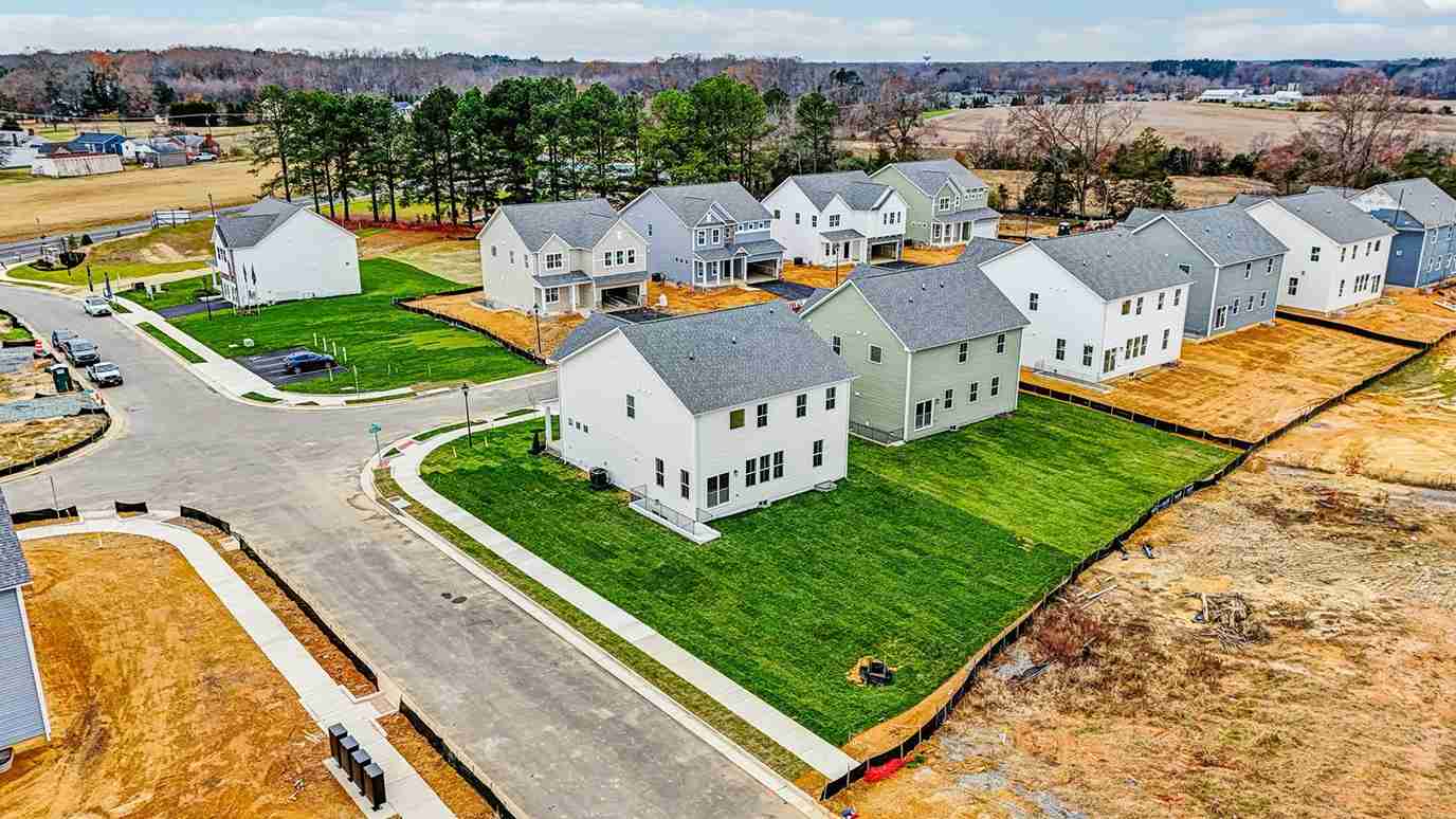 Hampshire II model birds view