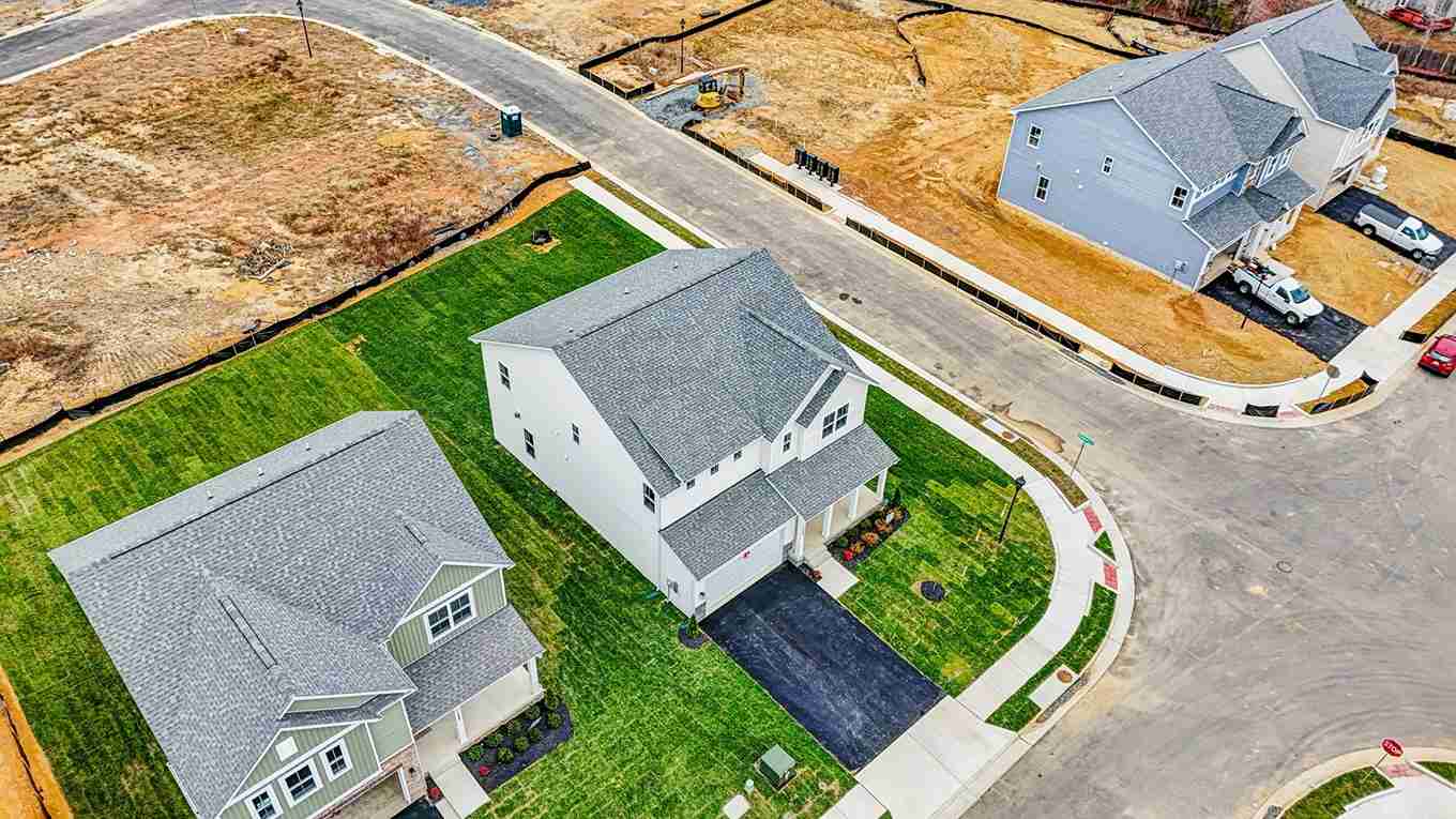 Hampshire II model birds view