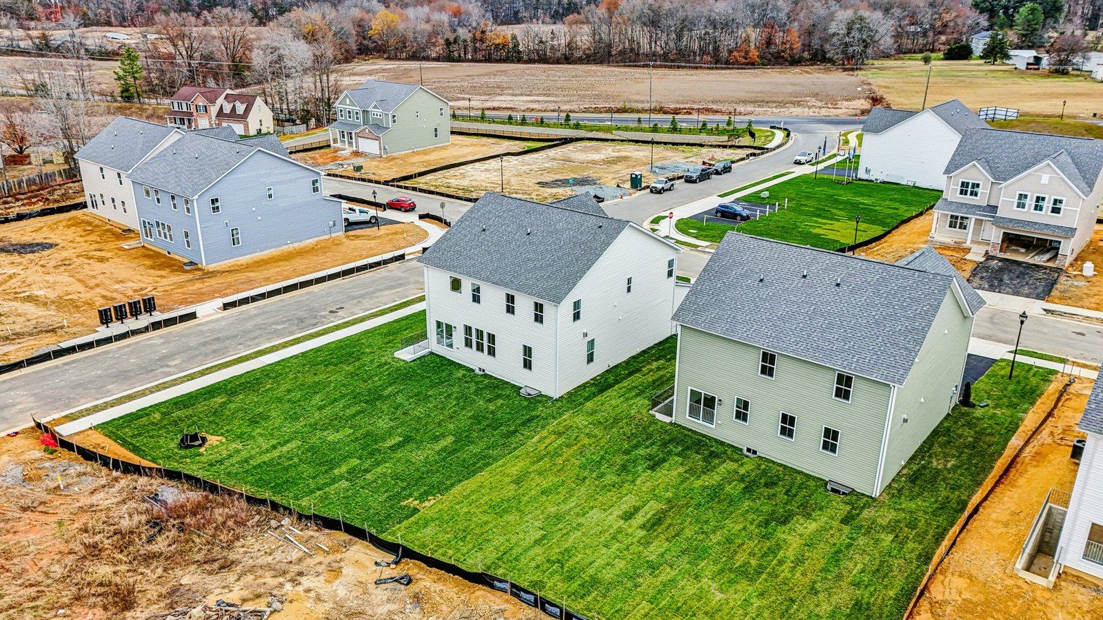 Hampshire II model birds view