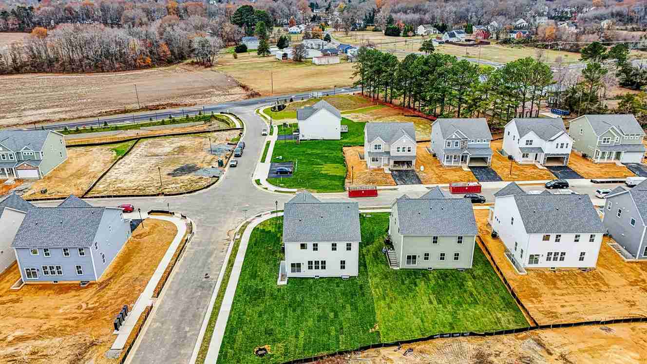 Hampshire II model birds view