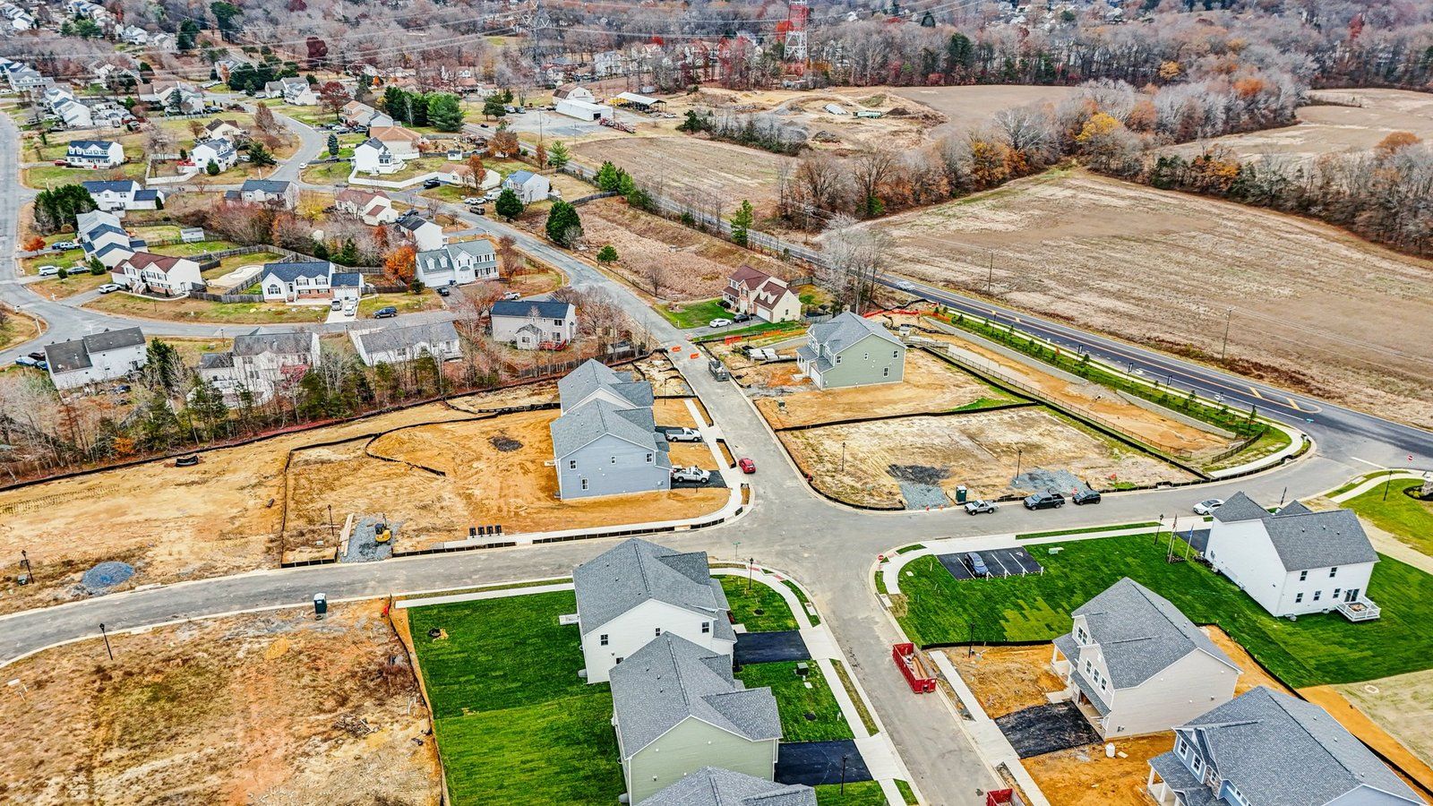 Hampshire II model birds view