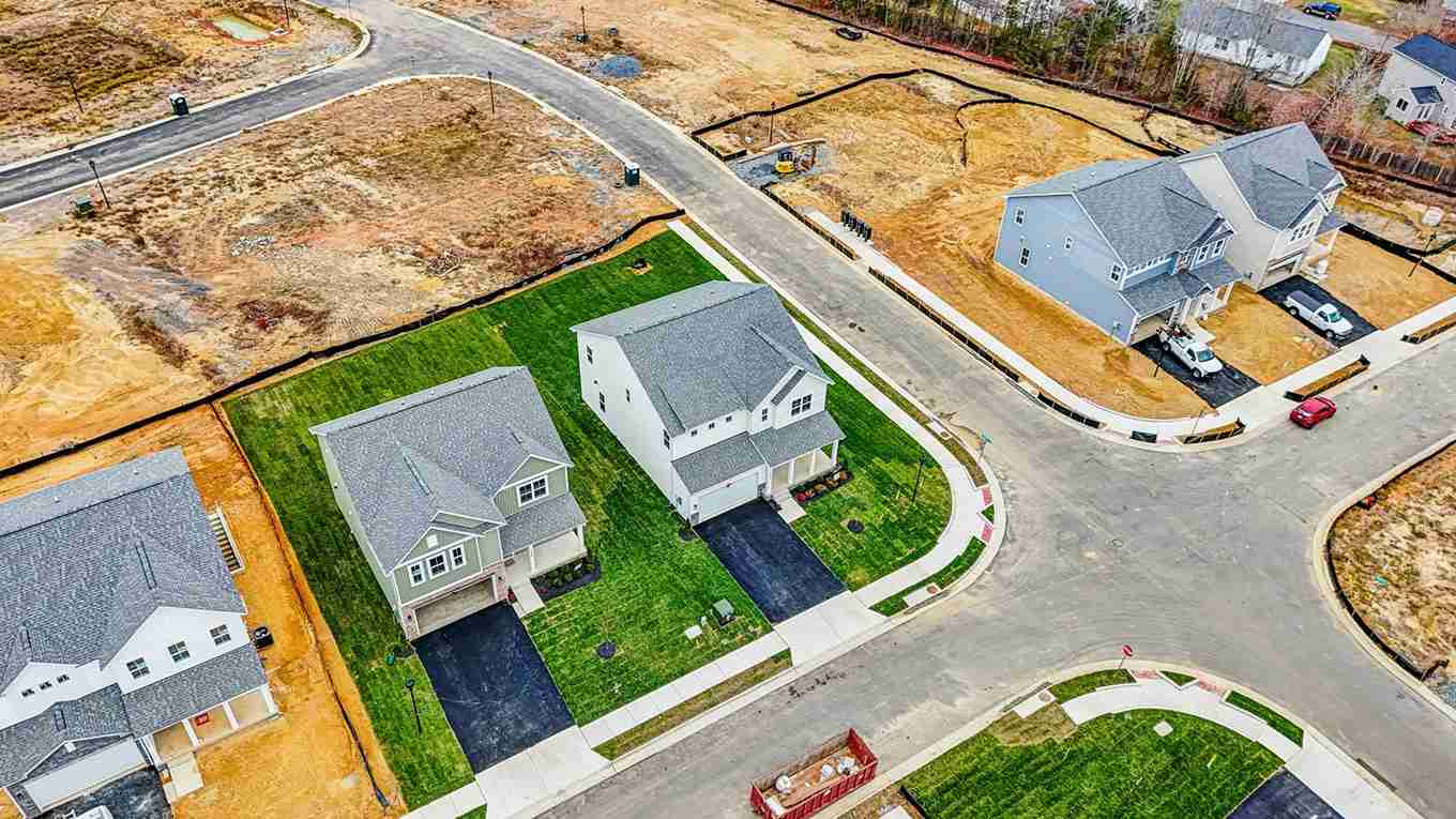 Hampshire II model birds view