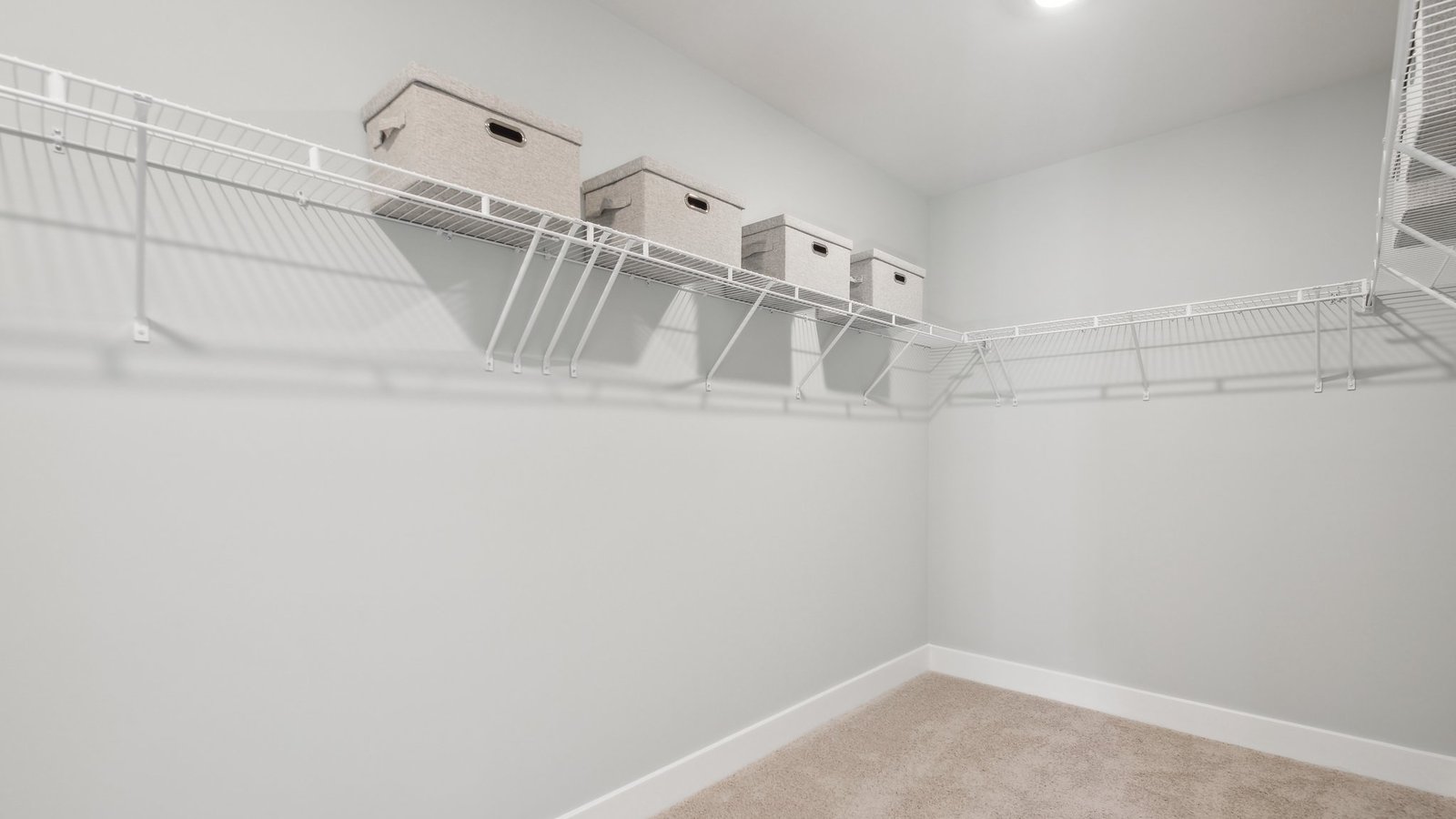 spacious and modern primary walk in closet