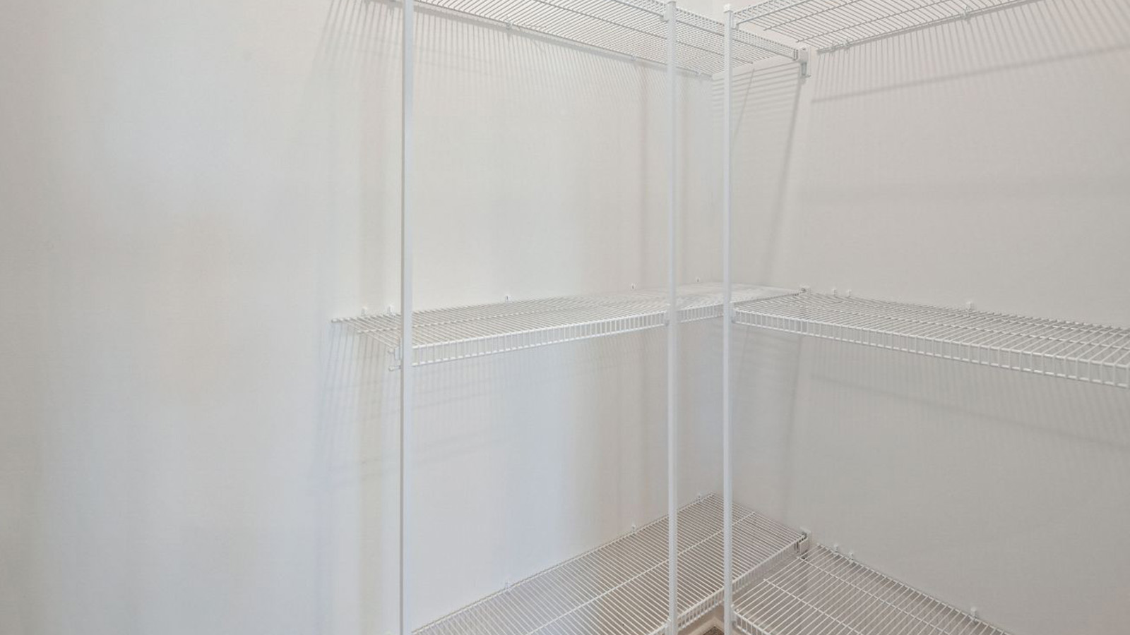 spacious pantry with storage