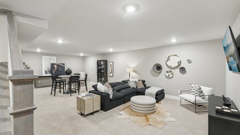 rec room in the basement
