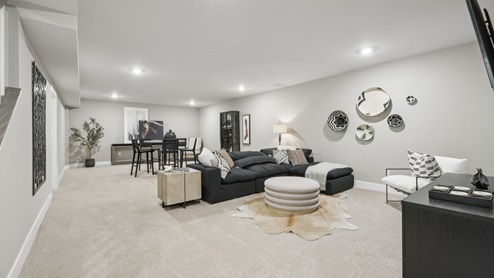 rec room in the basement
