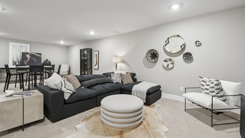 rec room in the basement