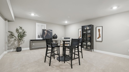 rec room in the basement