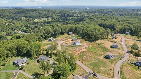 aerial of the community