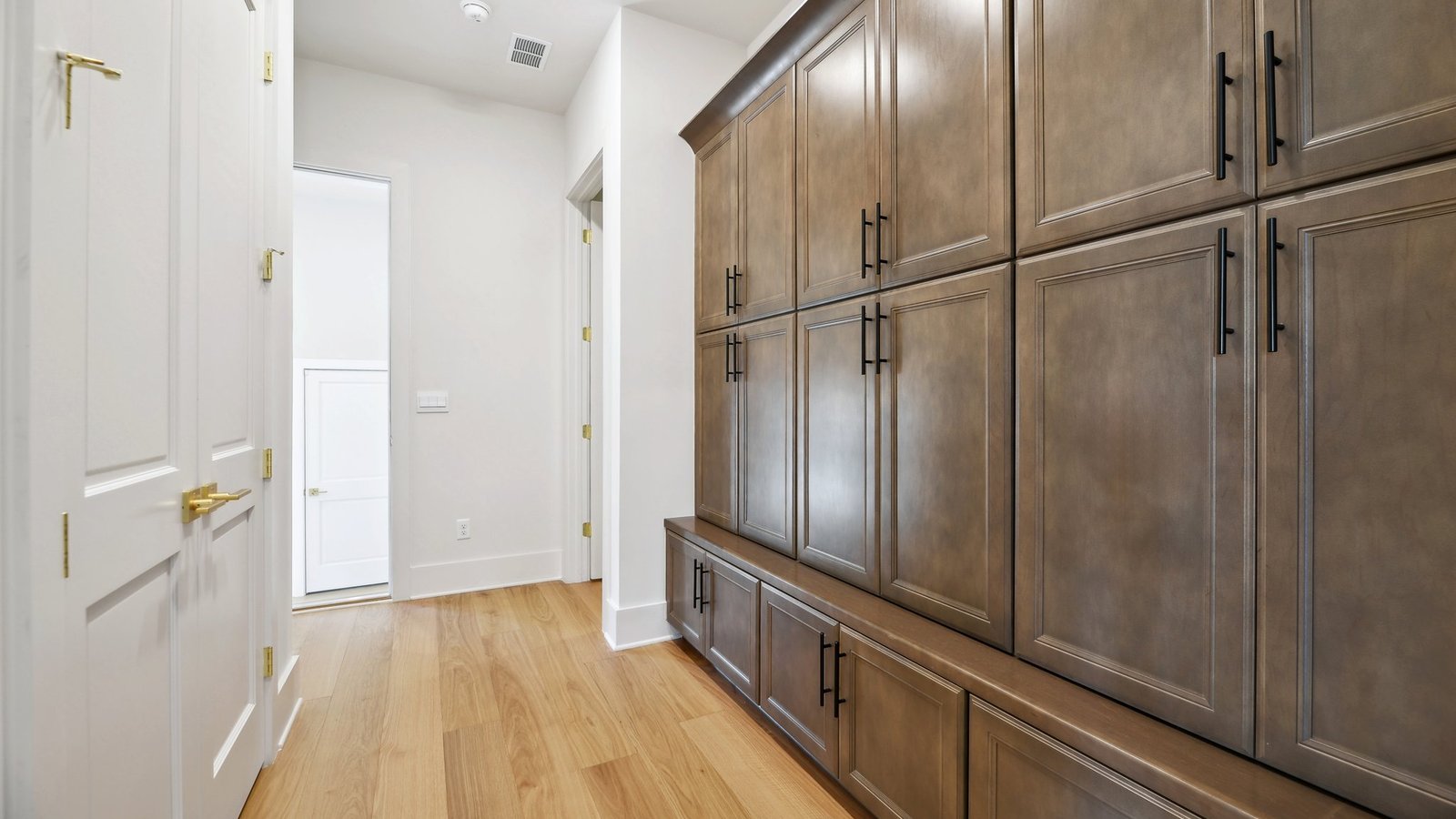 Hallway leading to the garage features extensive storage