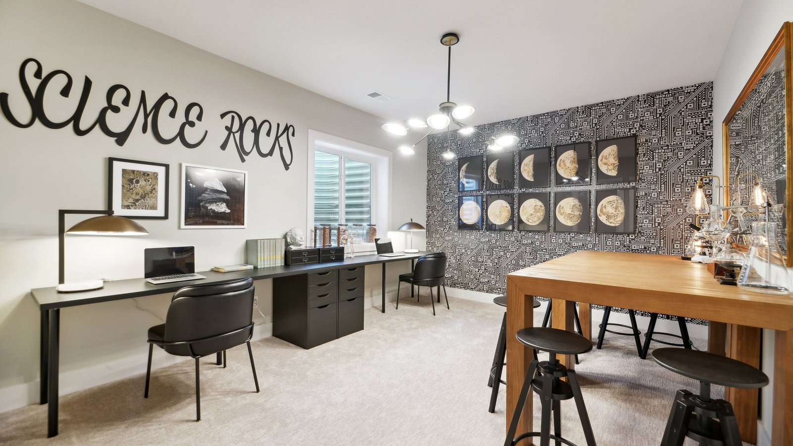 basement bedroom turned science room