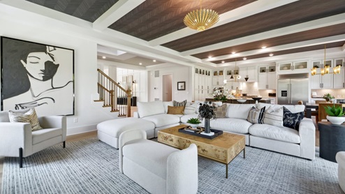 main floor lounge area with a beautiful tray ceiling