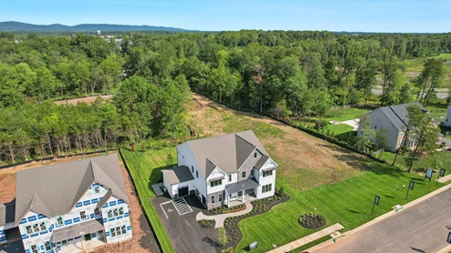 aerial of the model