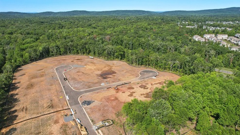aerial of the community shows woods stretching around the lots