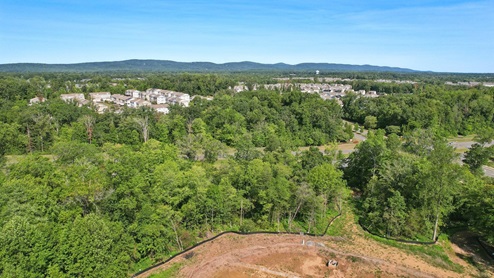 aerial of the community