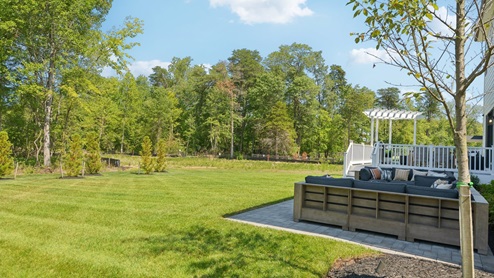 wooded backyard