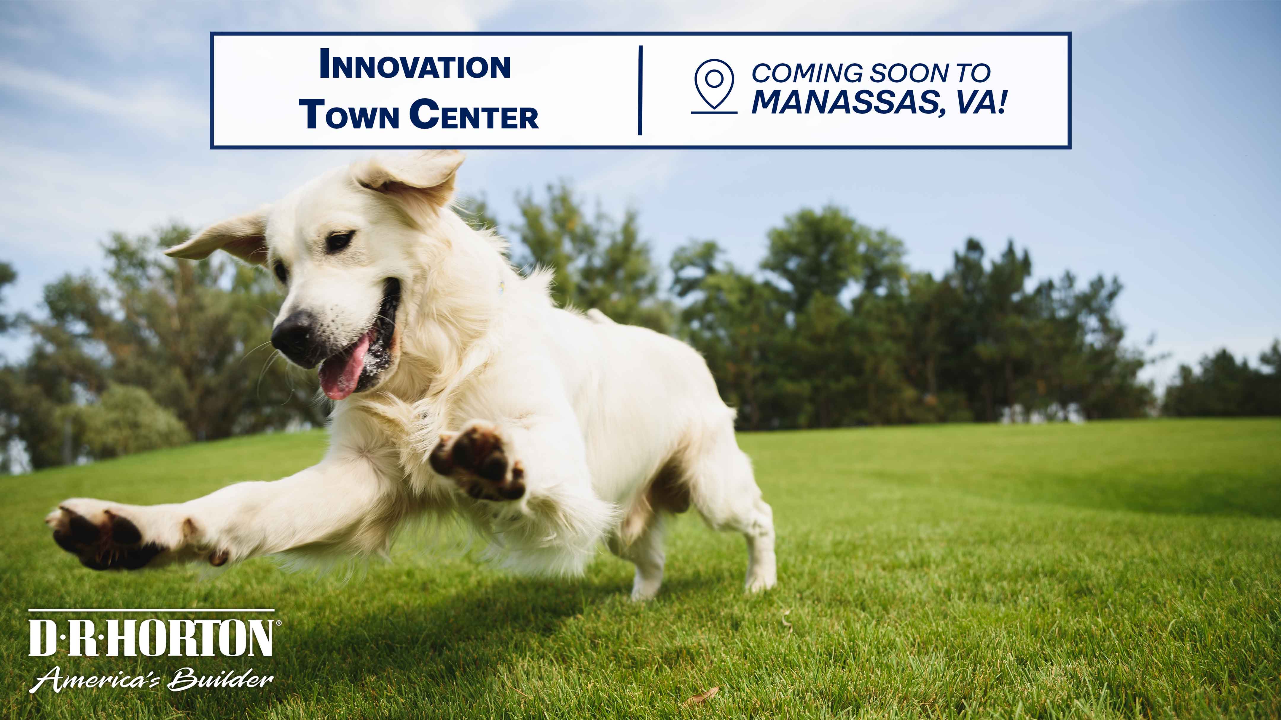 Dog park at Innovation Town Center by D.R. Horton