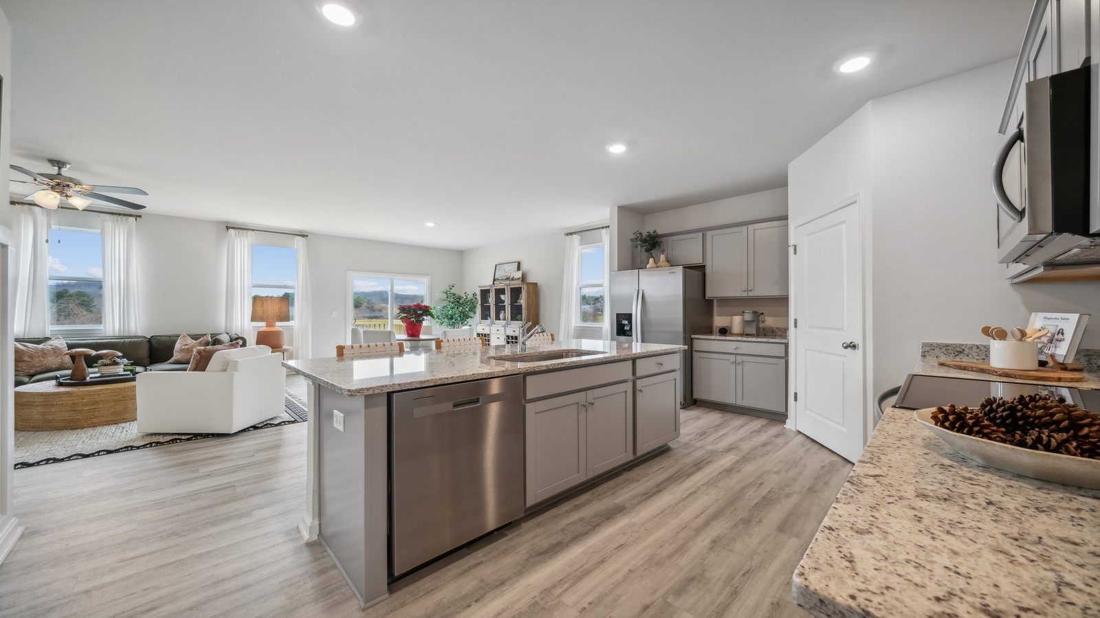 Kitchen and Living Area