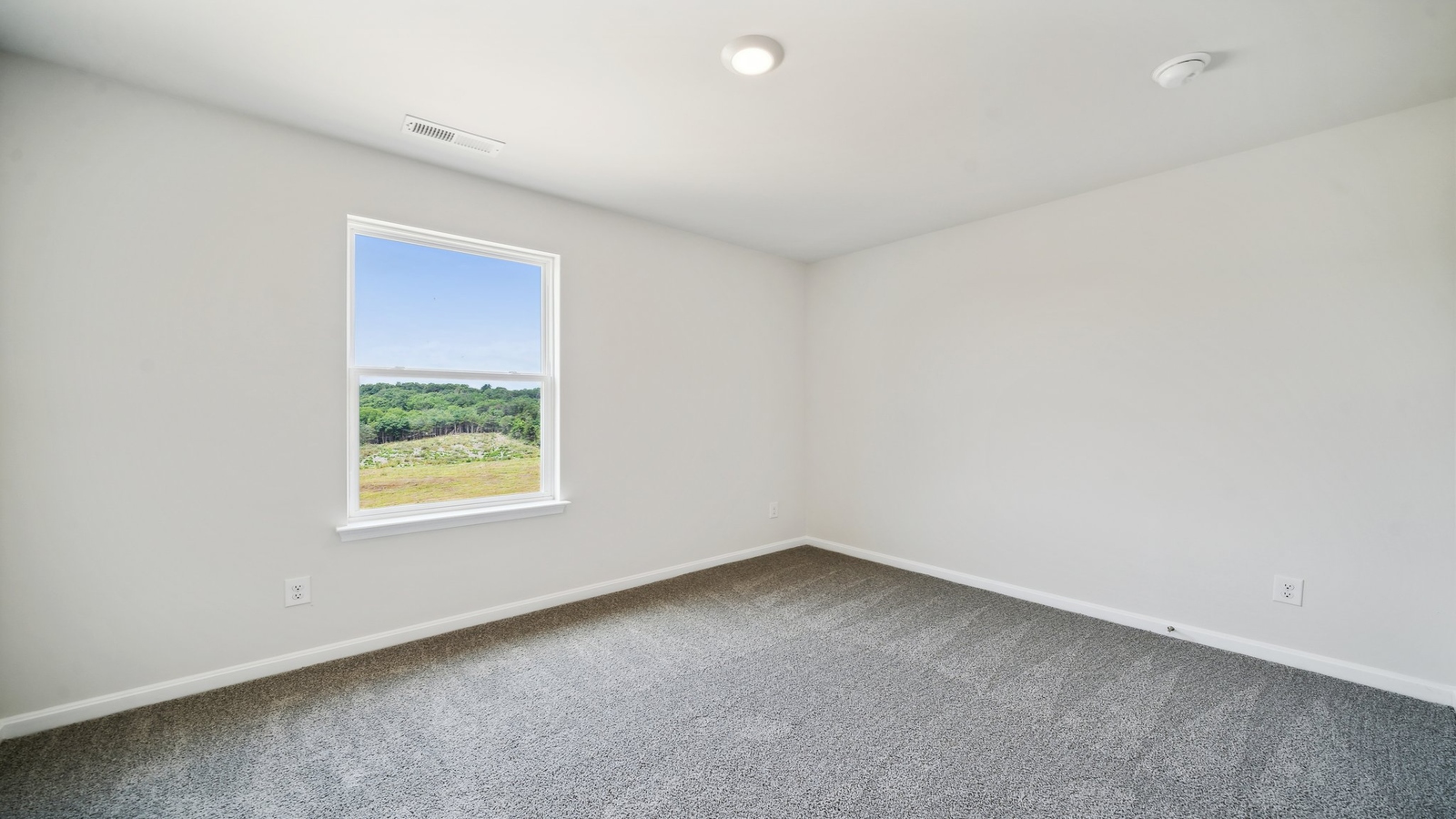 Main bedroom in New Build Home in Brewers Meadows South with stylish carpeting, ensuite bathroom, walk-in closet