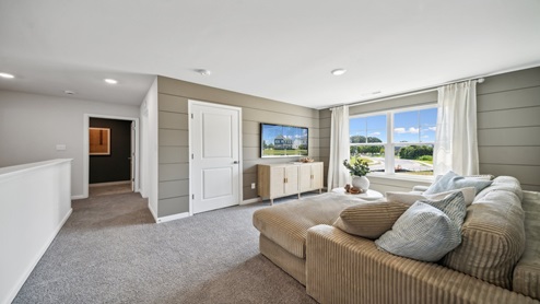 Hayden Loft