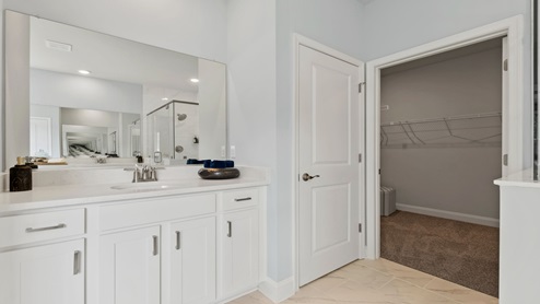 owner's bathroom