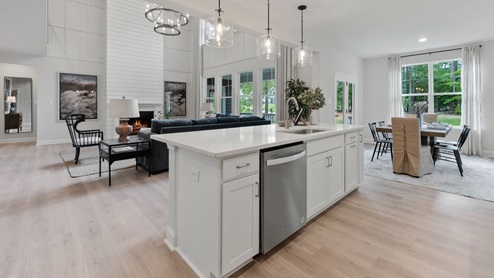 kitchen and living room