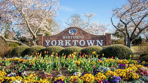 Ytown