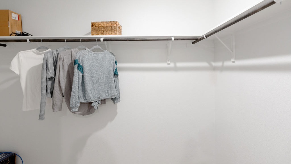 Primary Closet