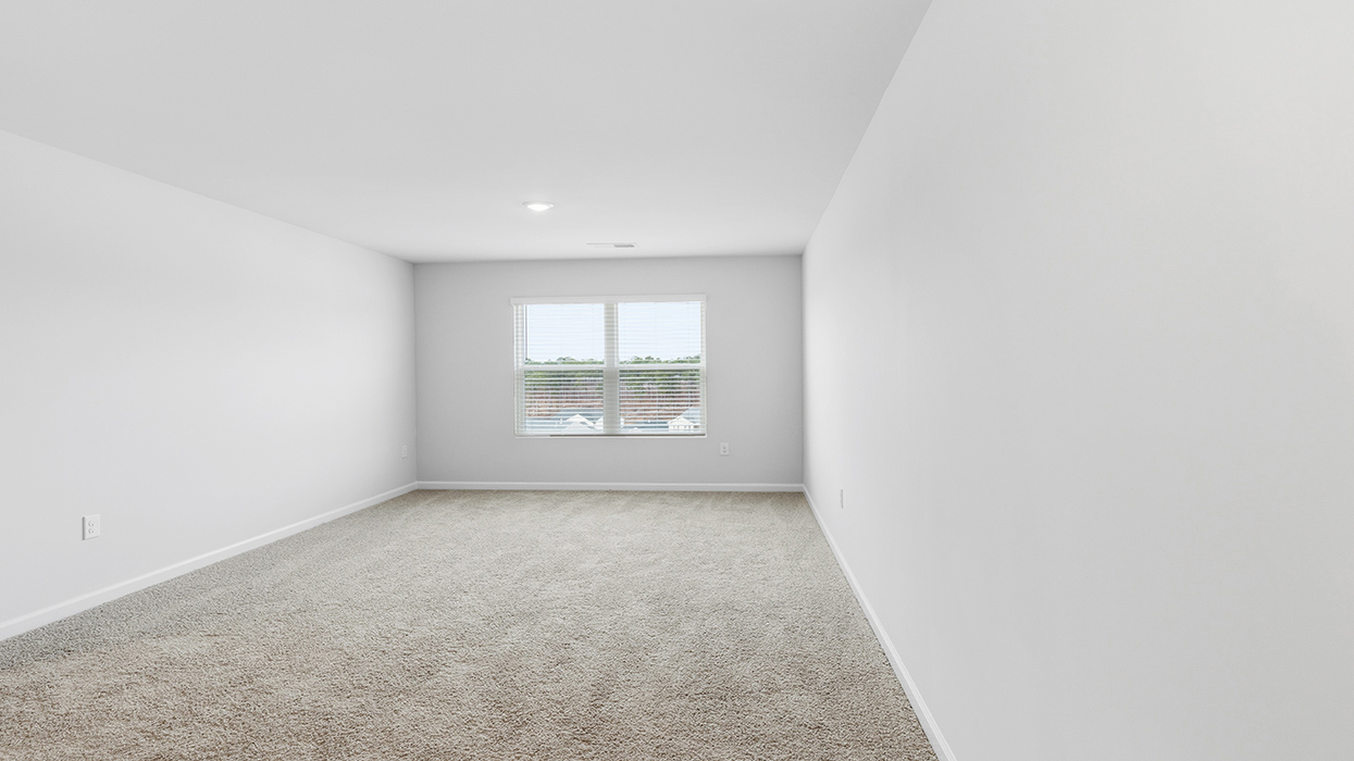 Halton Interior
