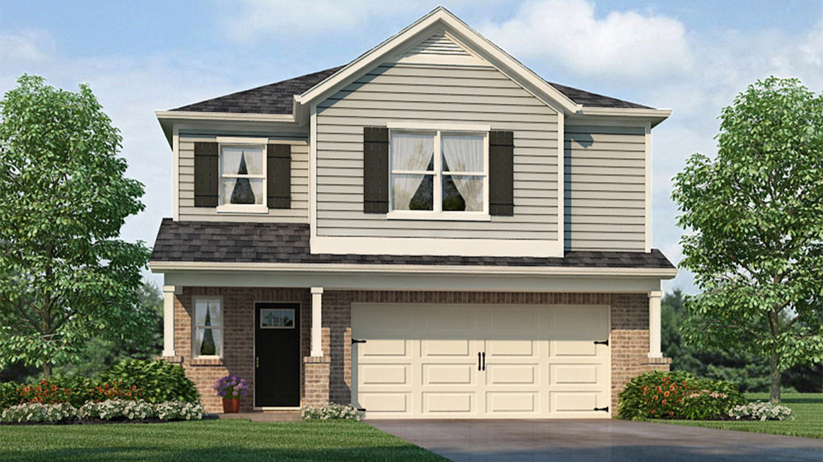 Darwin Rendering Front